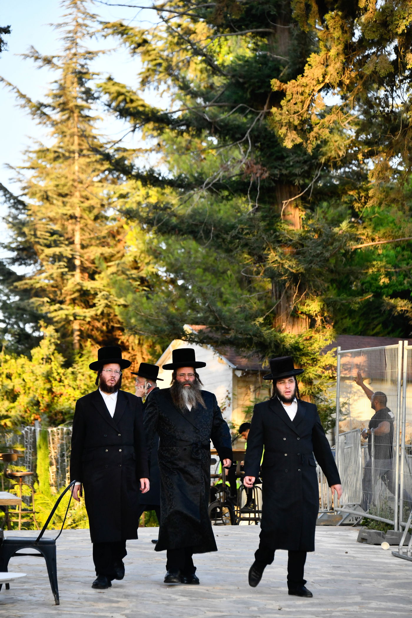 האדמו"רים בנאות דשא במעלה החמישה