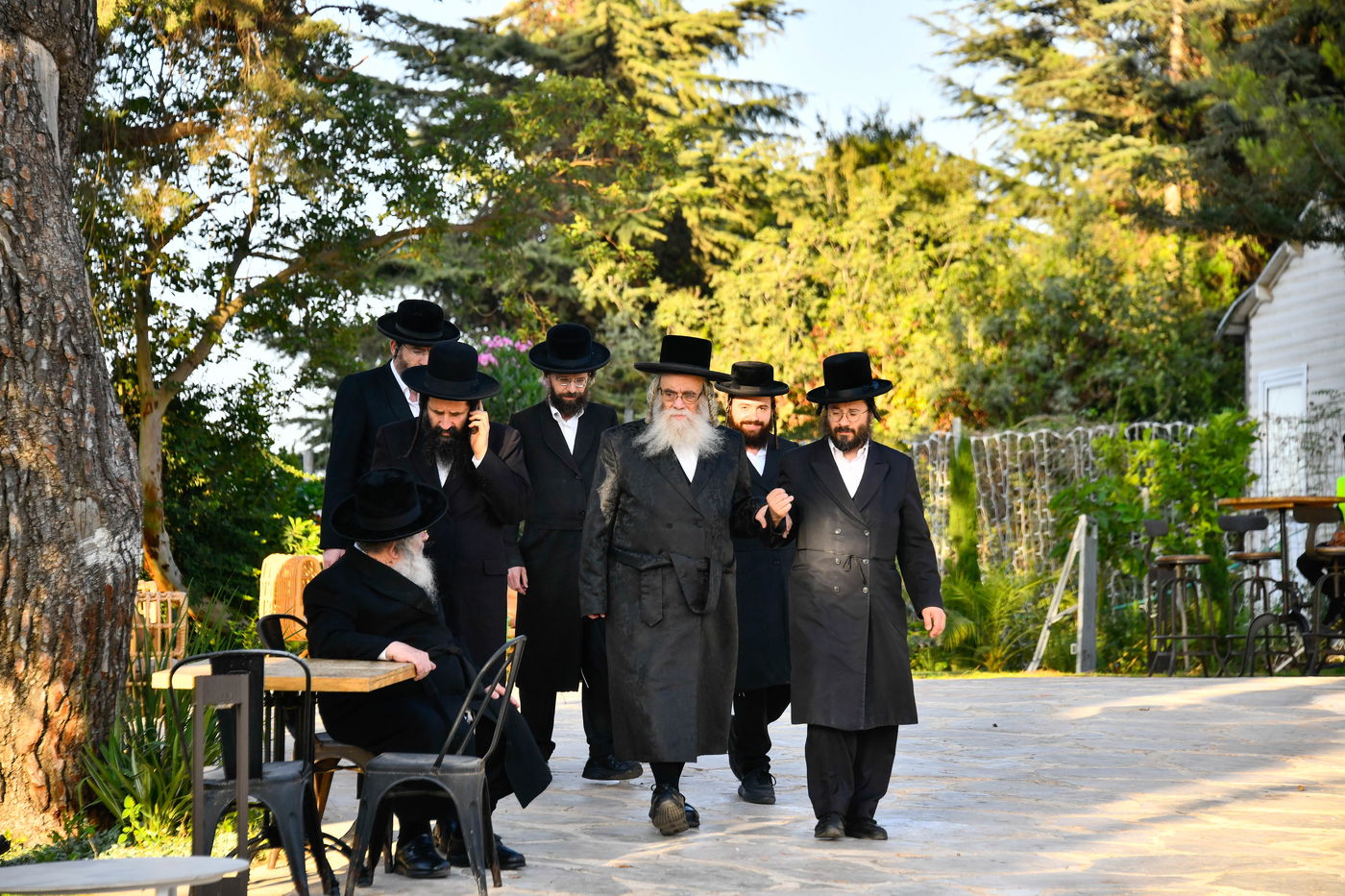 האדמו"רים בנאות דשא במעלה החמישה