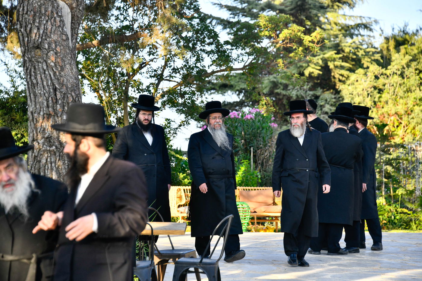 האדמו"רים בנאות דשא במעלה החמישה