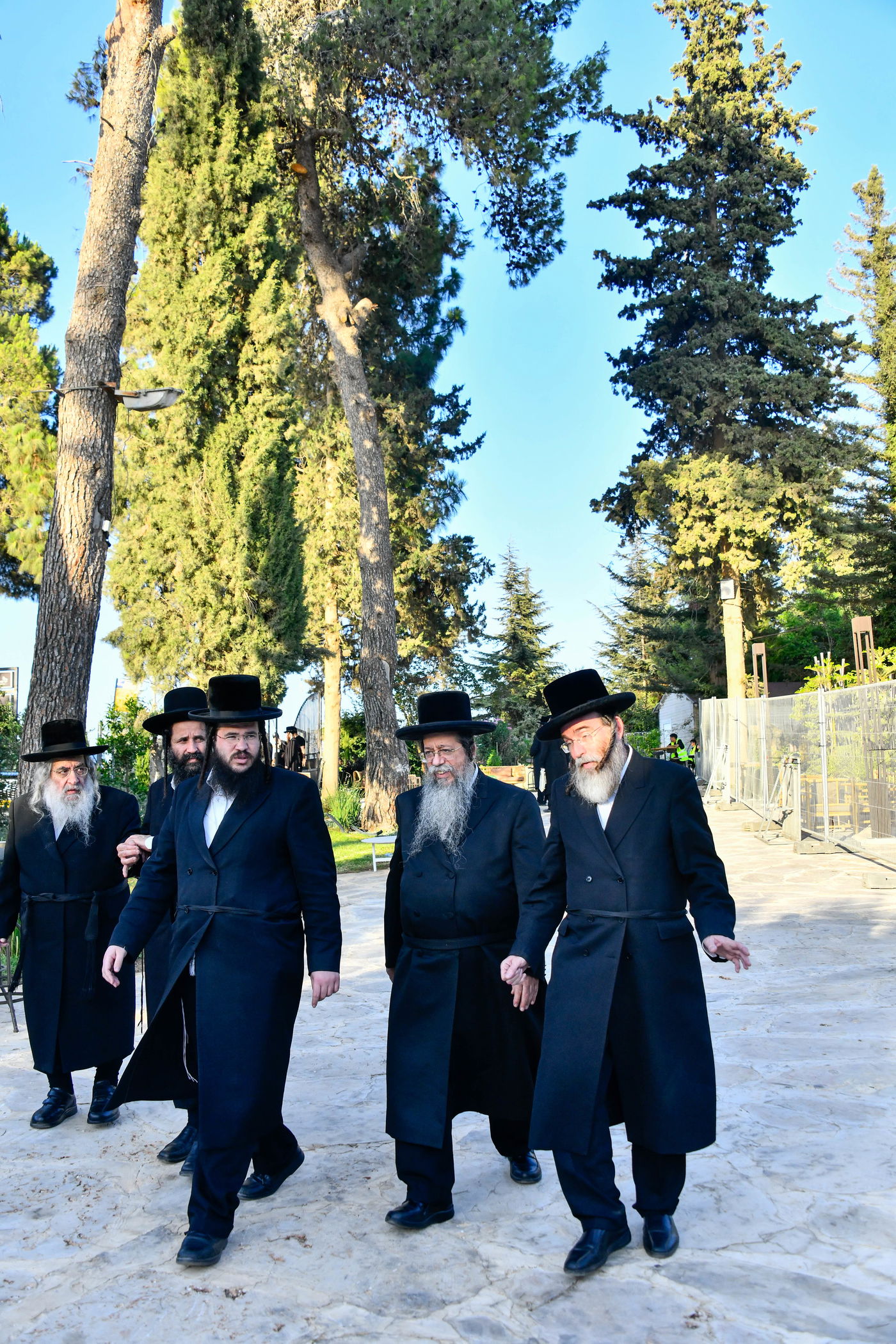 האדמו"רים בנאות דשא במעלה החמישה