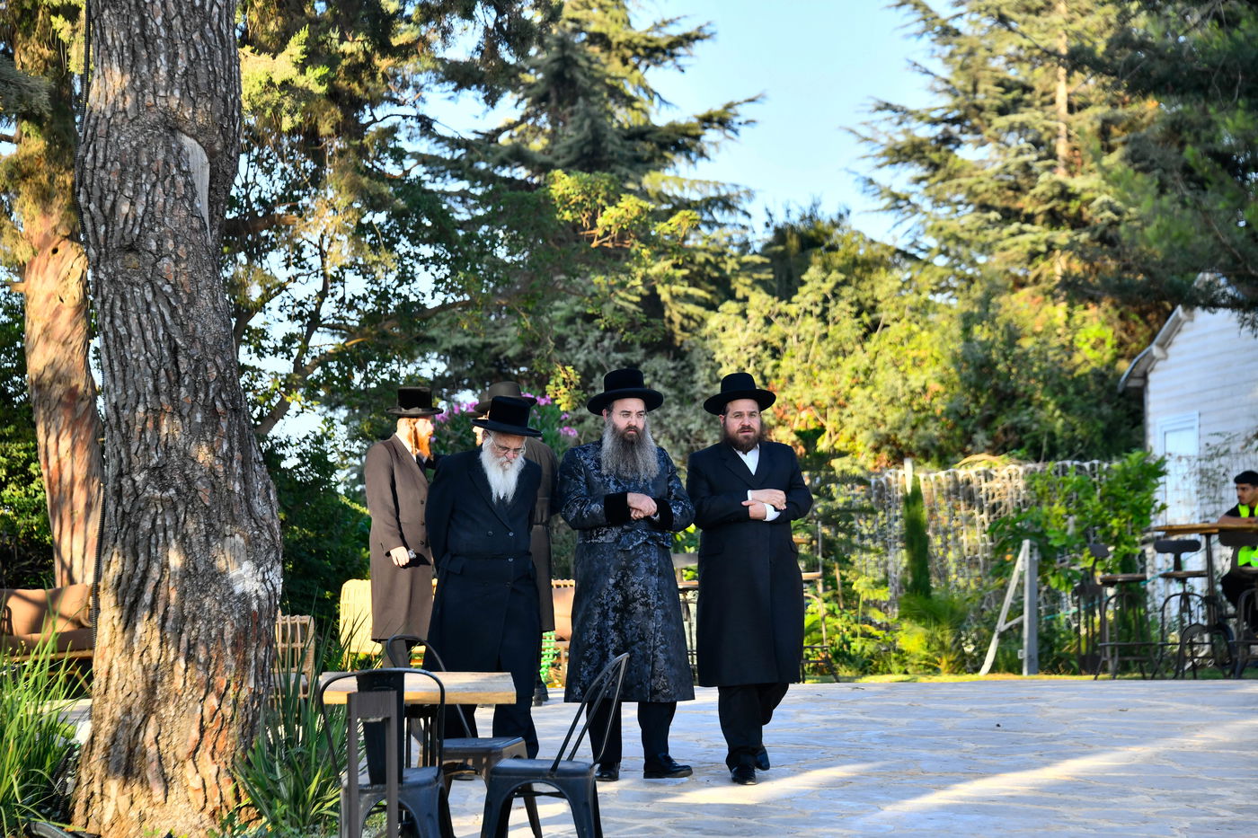 האדמו"רים בנאות דשא במעלה החמישה