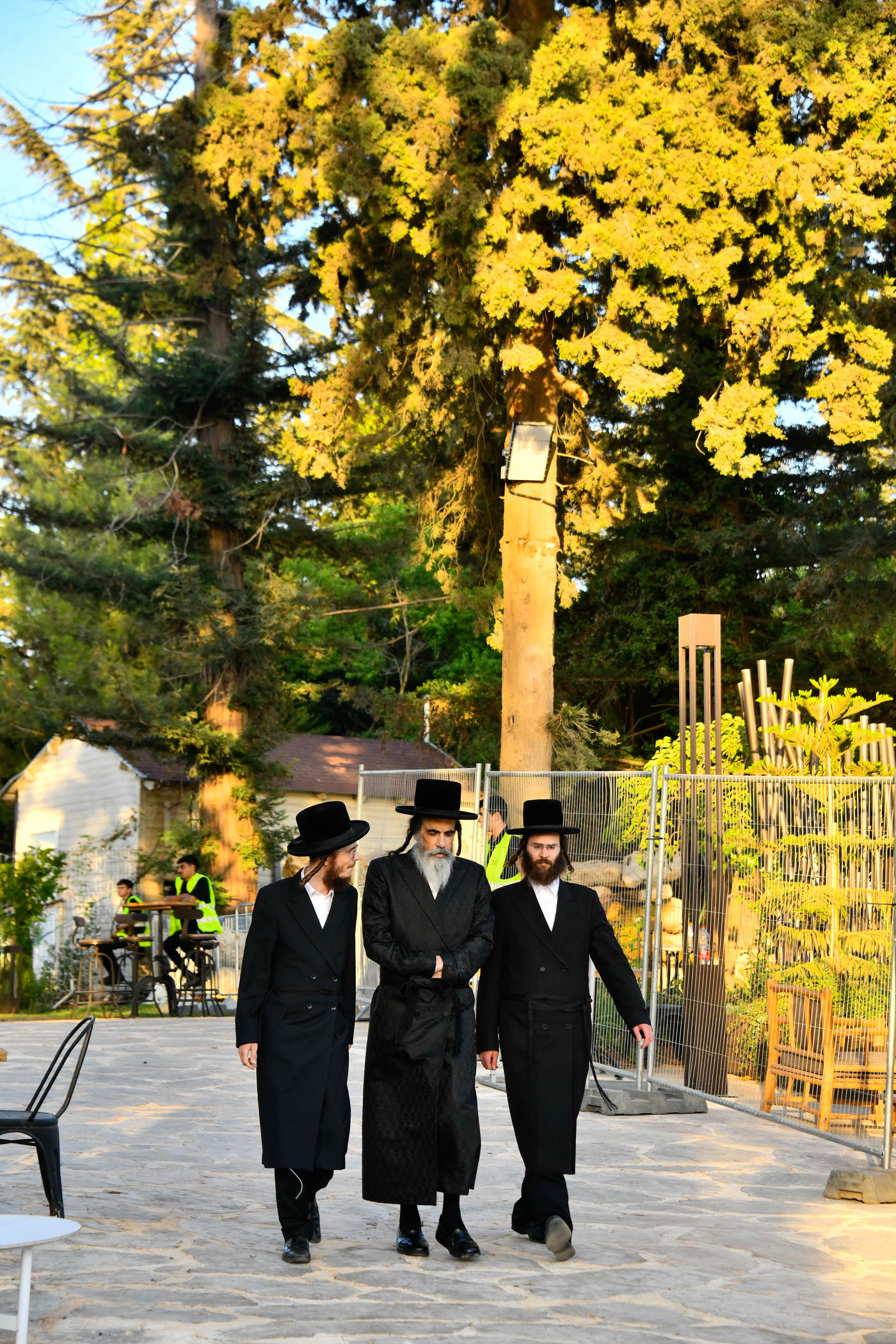 האדמו"רים בנאות דשא במעלה החמישה