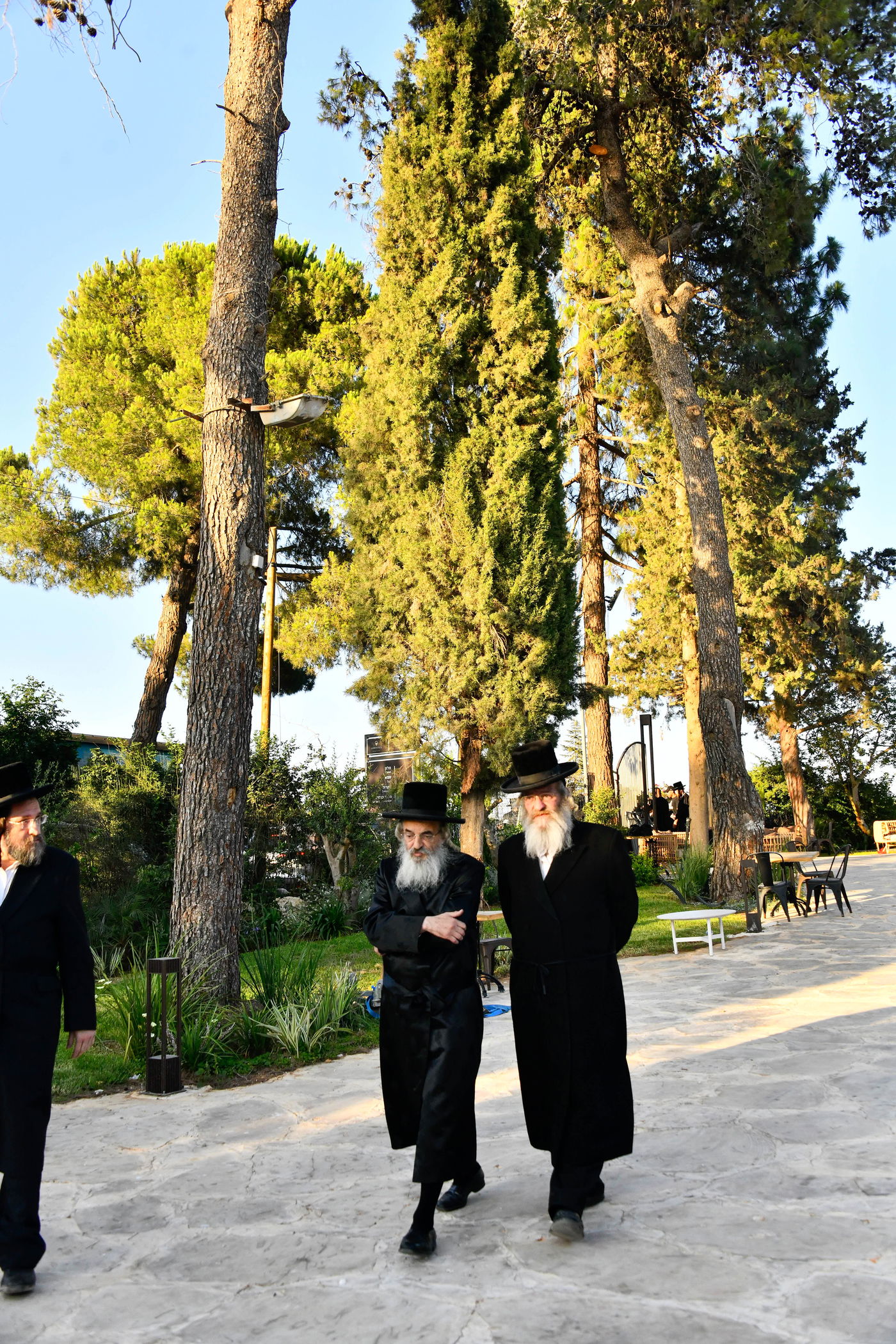 האדמו"רים בנאות דשא במעלה החמישה