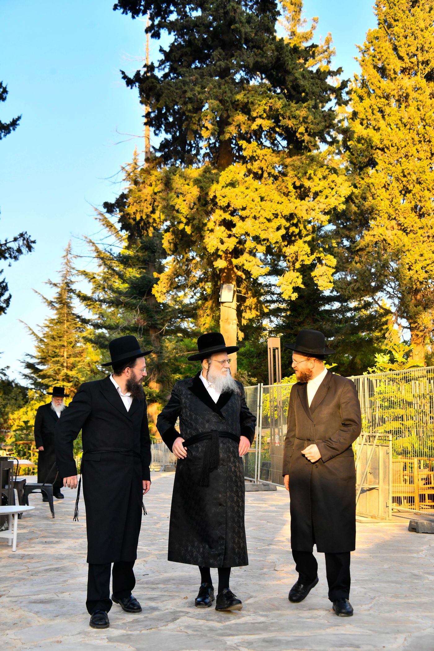 האדמו"רים בנאות דשא במעלה החמישה