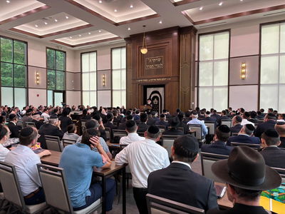 הביקור של הגר"א וויס בארה"ב