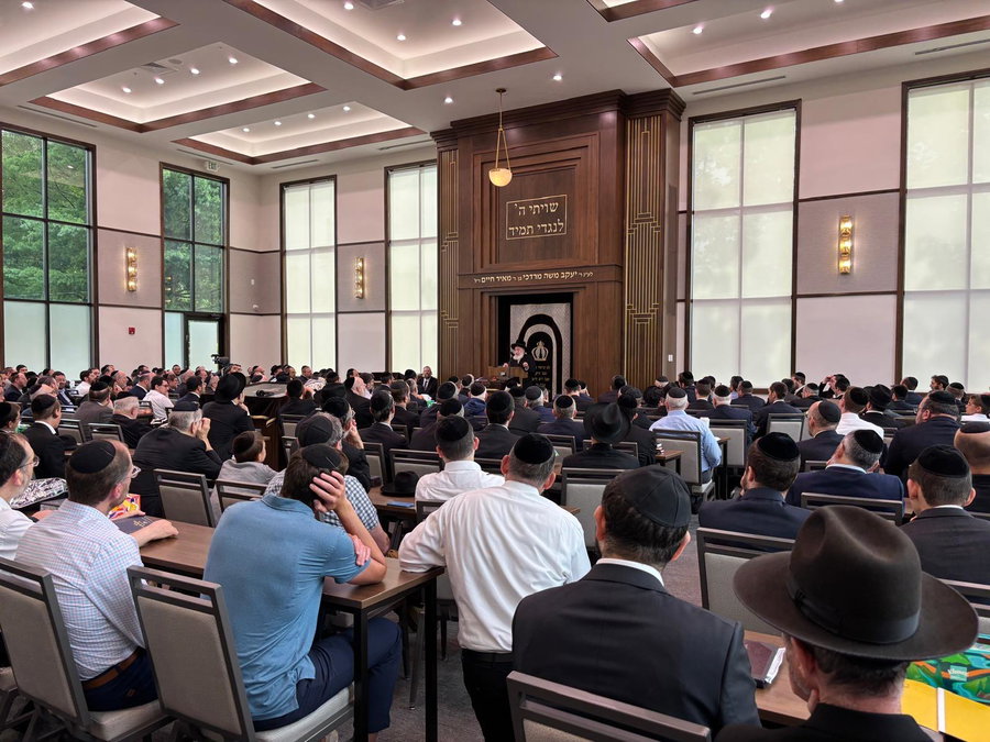 הביקור של הגר"א וויס בארה"ב