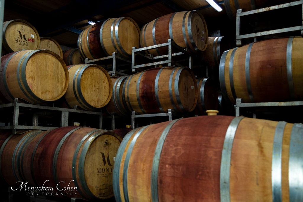 סמינריון "רבני התפוצות" היוקרתי לעשרות רבנים ומנהיגי קהילות מרחבי העולם