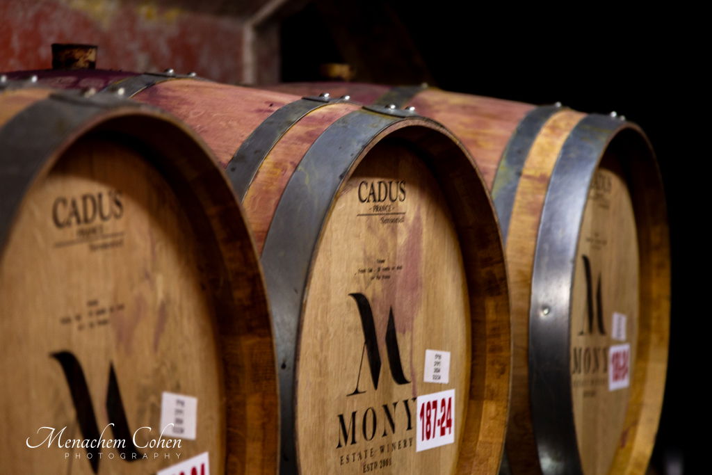 סמינריון "רבני התפוצות" היוקרתי לעשרות רבנים ומנהיגי קהילות מרחבי העולם