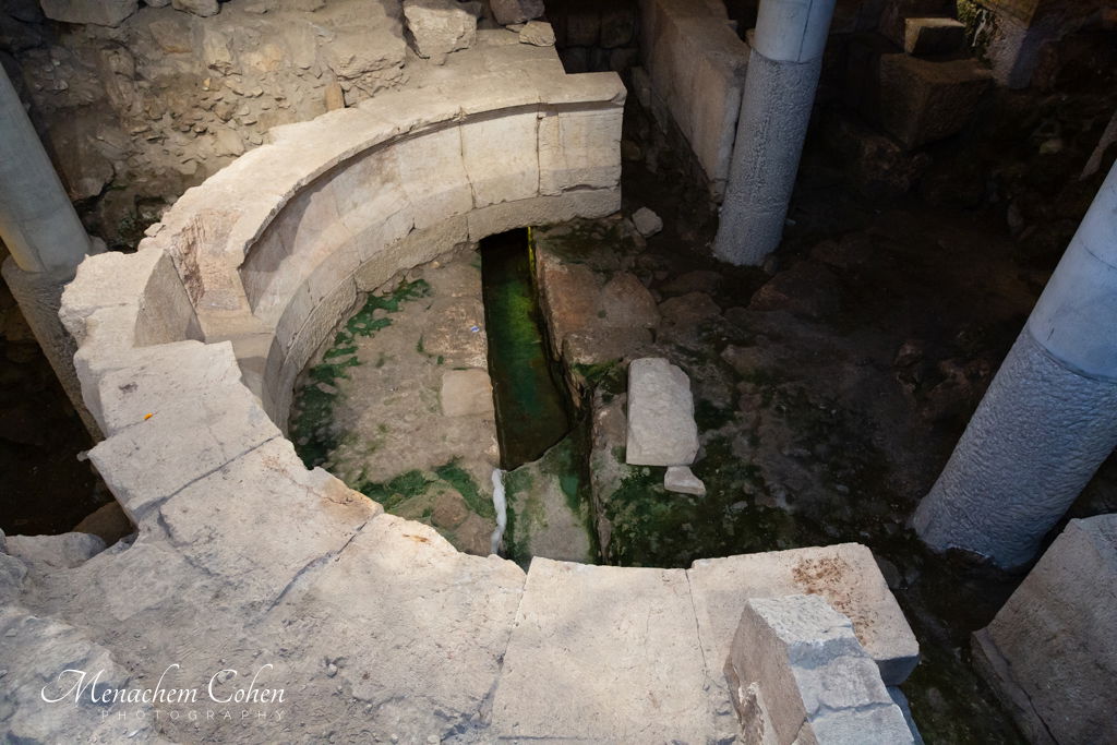 סמינריון "רבני התפוצות" היוקרתי לעשרות רבנים ומנהיגי קהילות מרחבי העולם