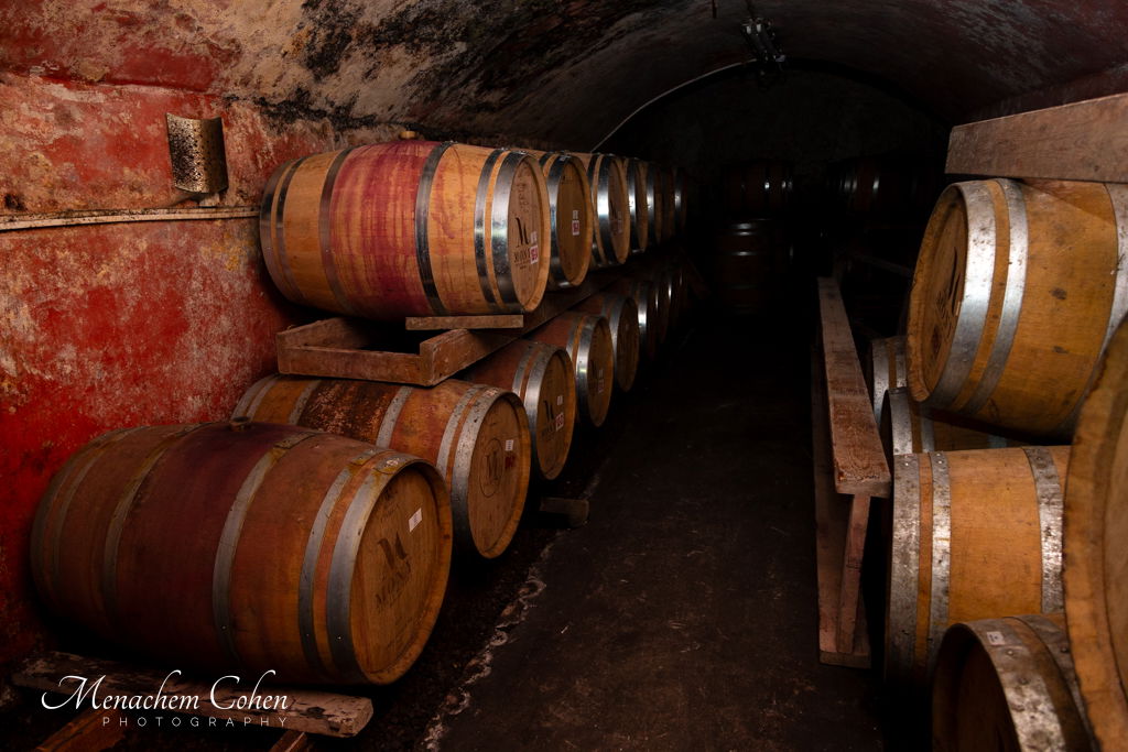 סמינריון "רבני התפוצות" היוקרתי לעשרות רבנים ומנהיגי קהילות מרחבי העולם