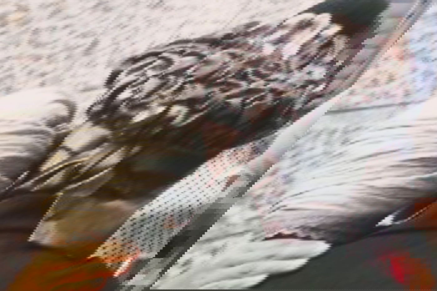 ה'שטערן טיכל'