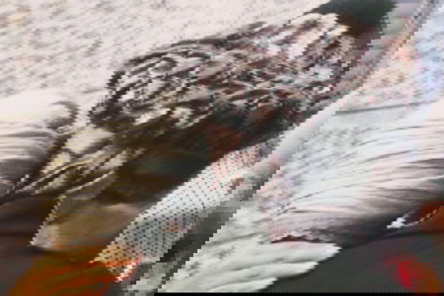 ה'שטערן טיכל'