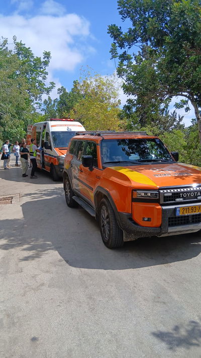 זירת האירוע בגן החיות 
