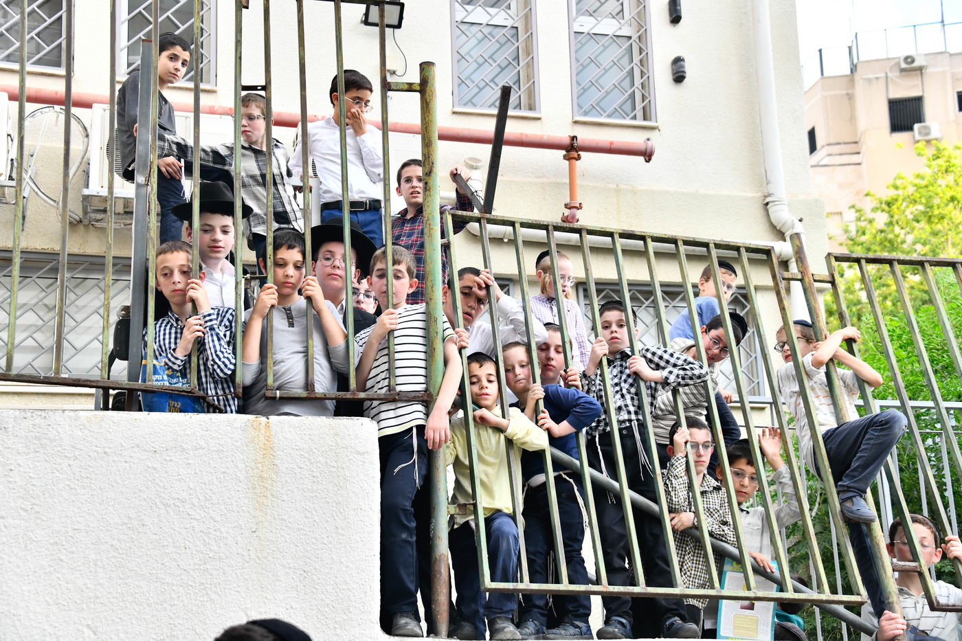 מעמד פדיון 'פטר חמור' בקהילת בית השם