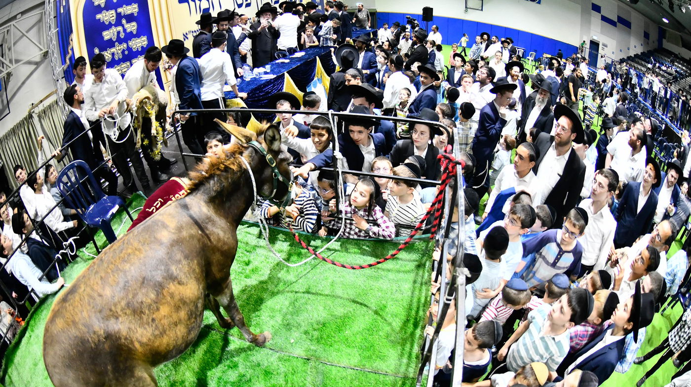 מעמד פדיון 'פטר חמור' בקהילת בית השם