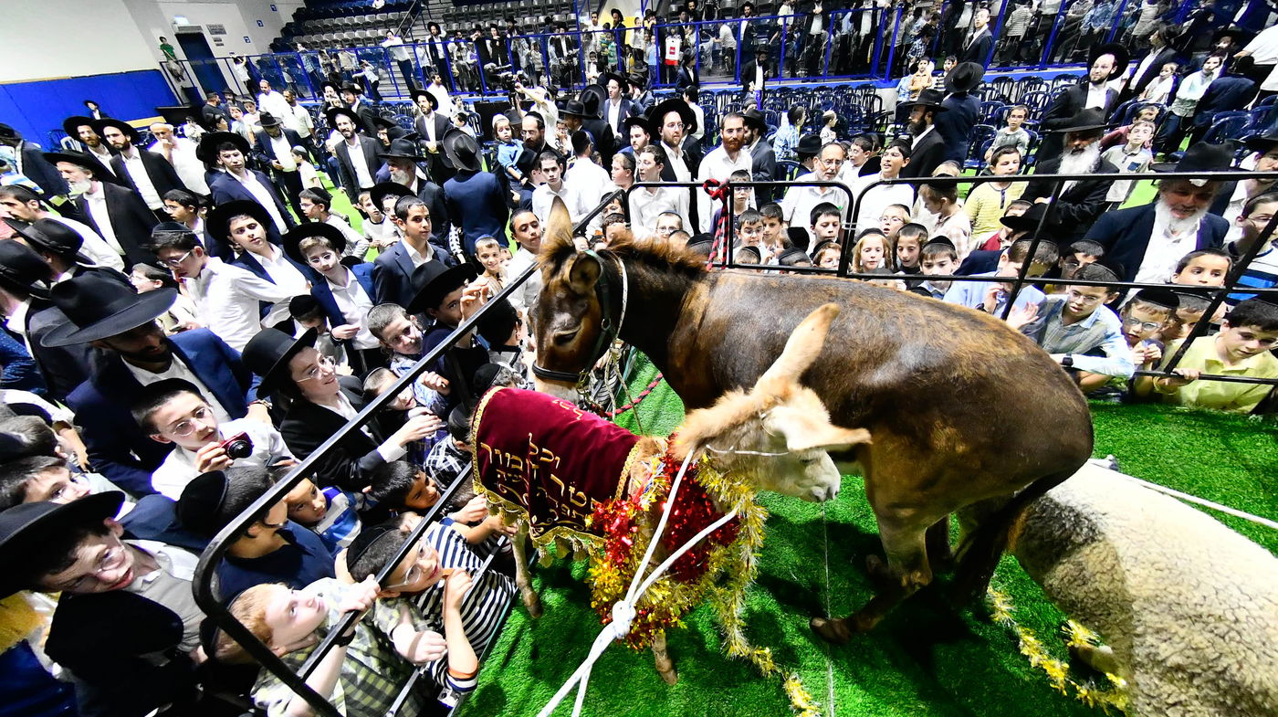 מעמד פדיון 'פטר חמור' בקהילת בית השם