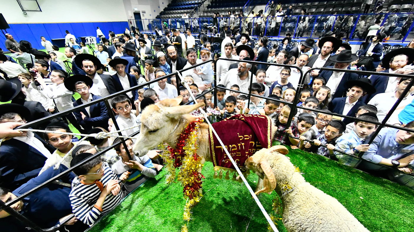 מעמד פדיון 'פטר חמור' בקהילת בית השם