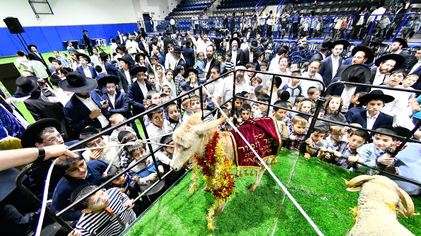 מעמד פדיון 'פטר חמור' בקהילת בית השם
