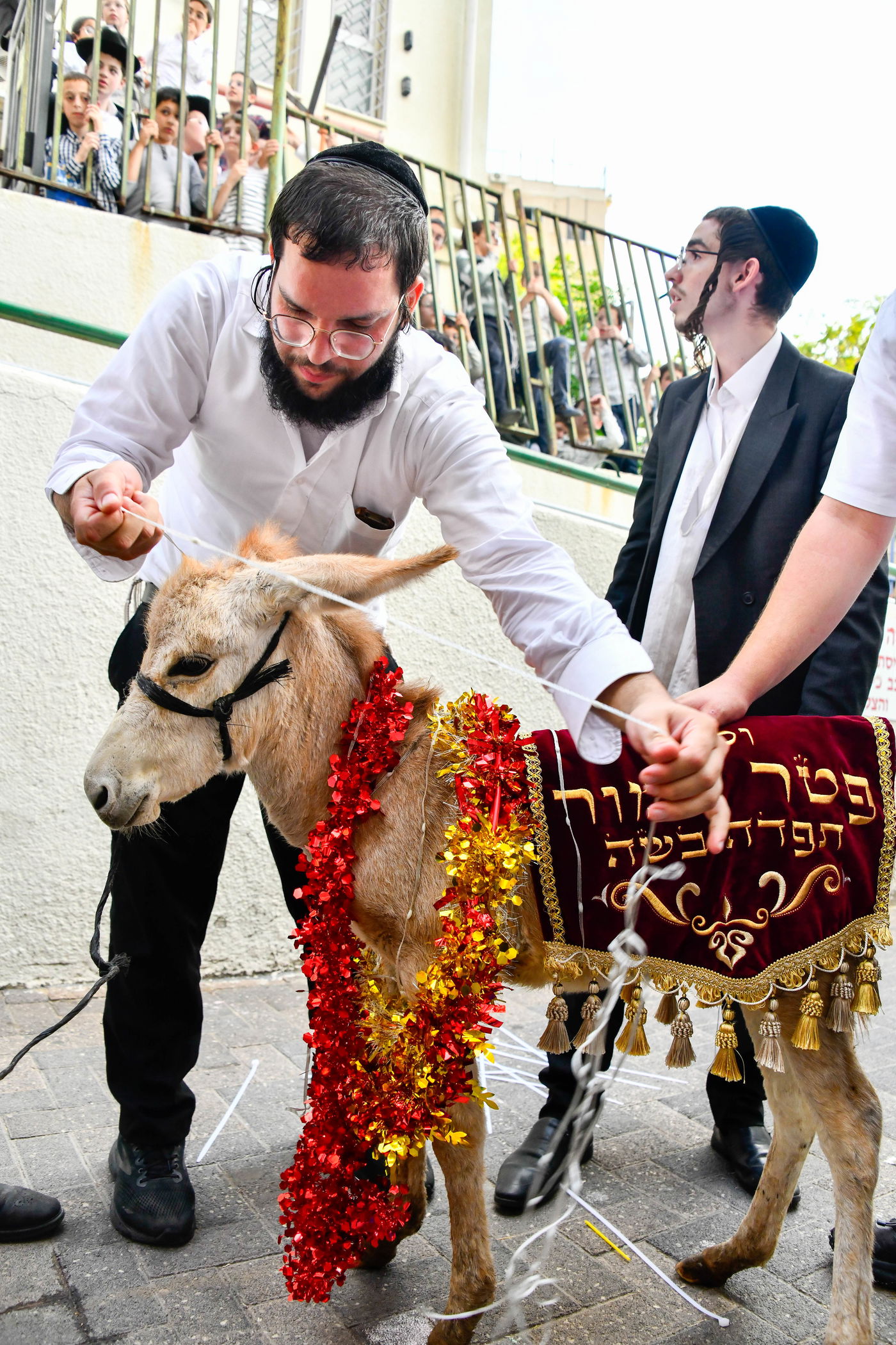 מעמד פדיון 'פטר חמור' בקהילת בית השם