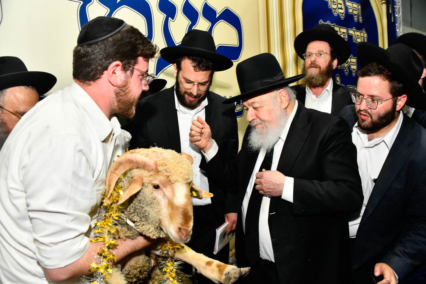 מעמד פדיון 'פטר חמור' בקהילת בית השם