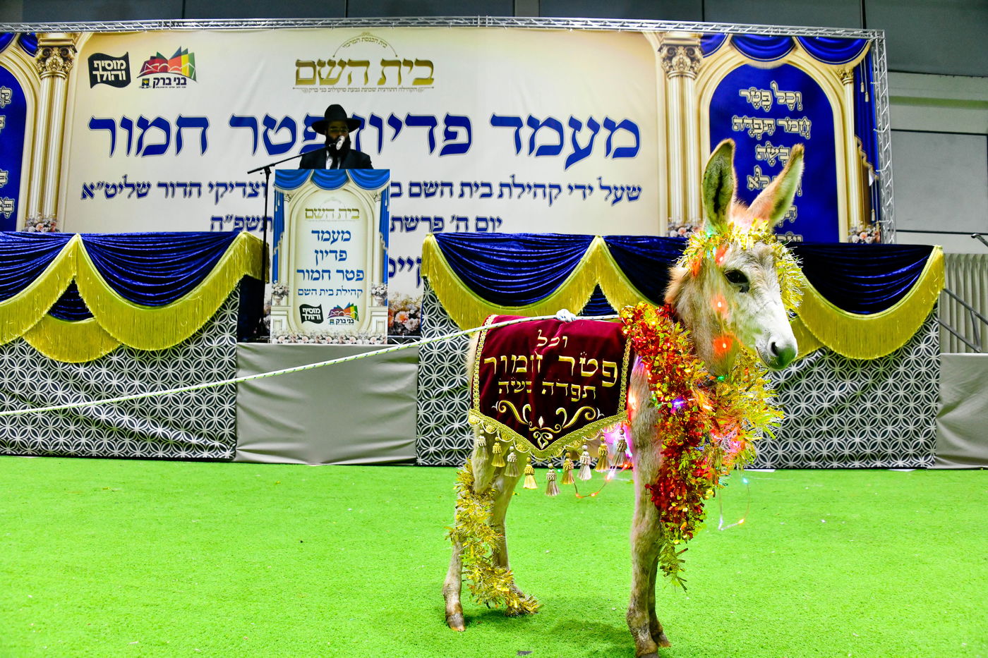 מעמד פדיון 'פטר חמור' בקהילת בית השם