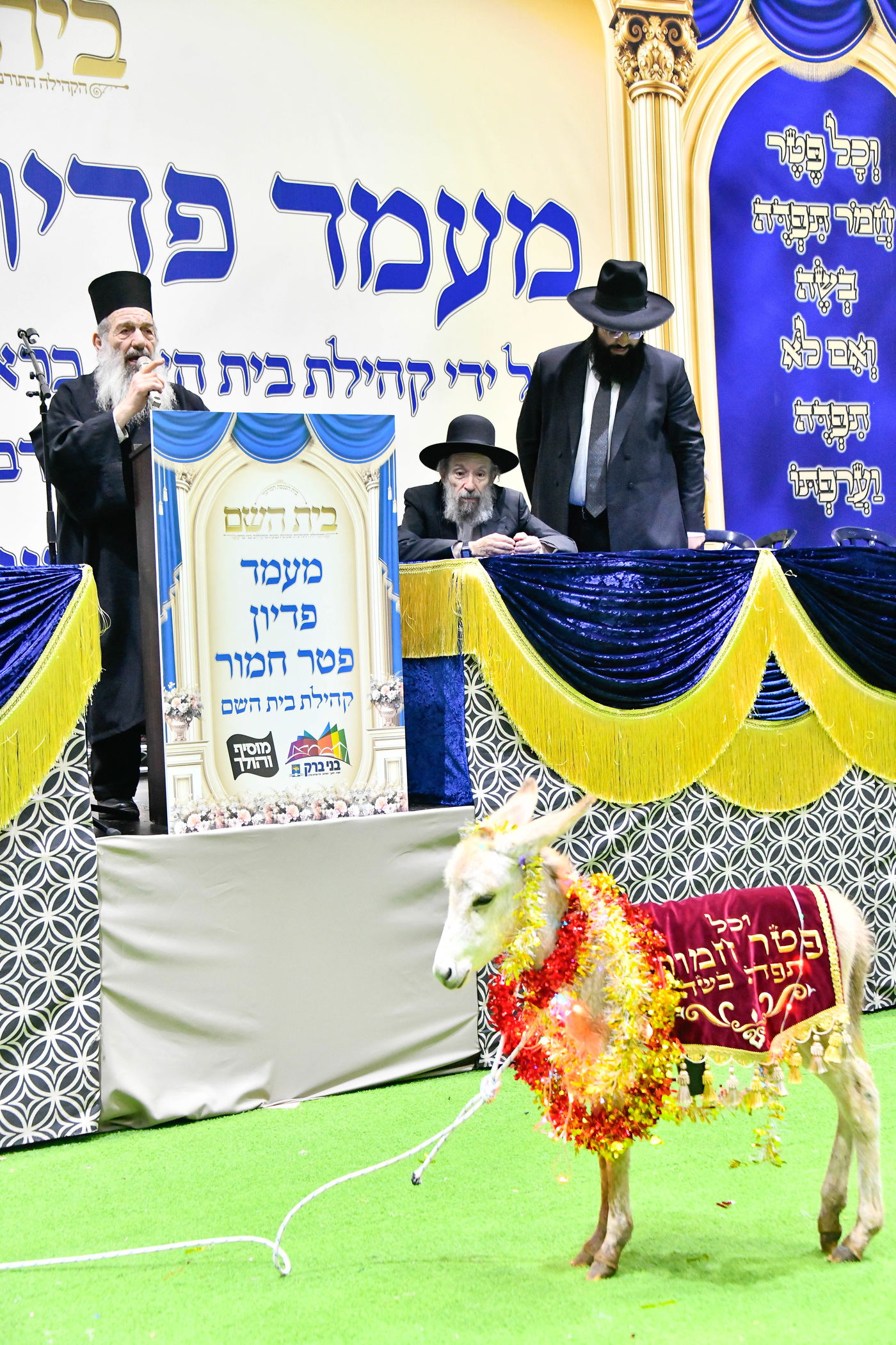 מעמד פדיון 'פטר חמור' בקהילת בית השם