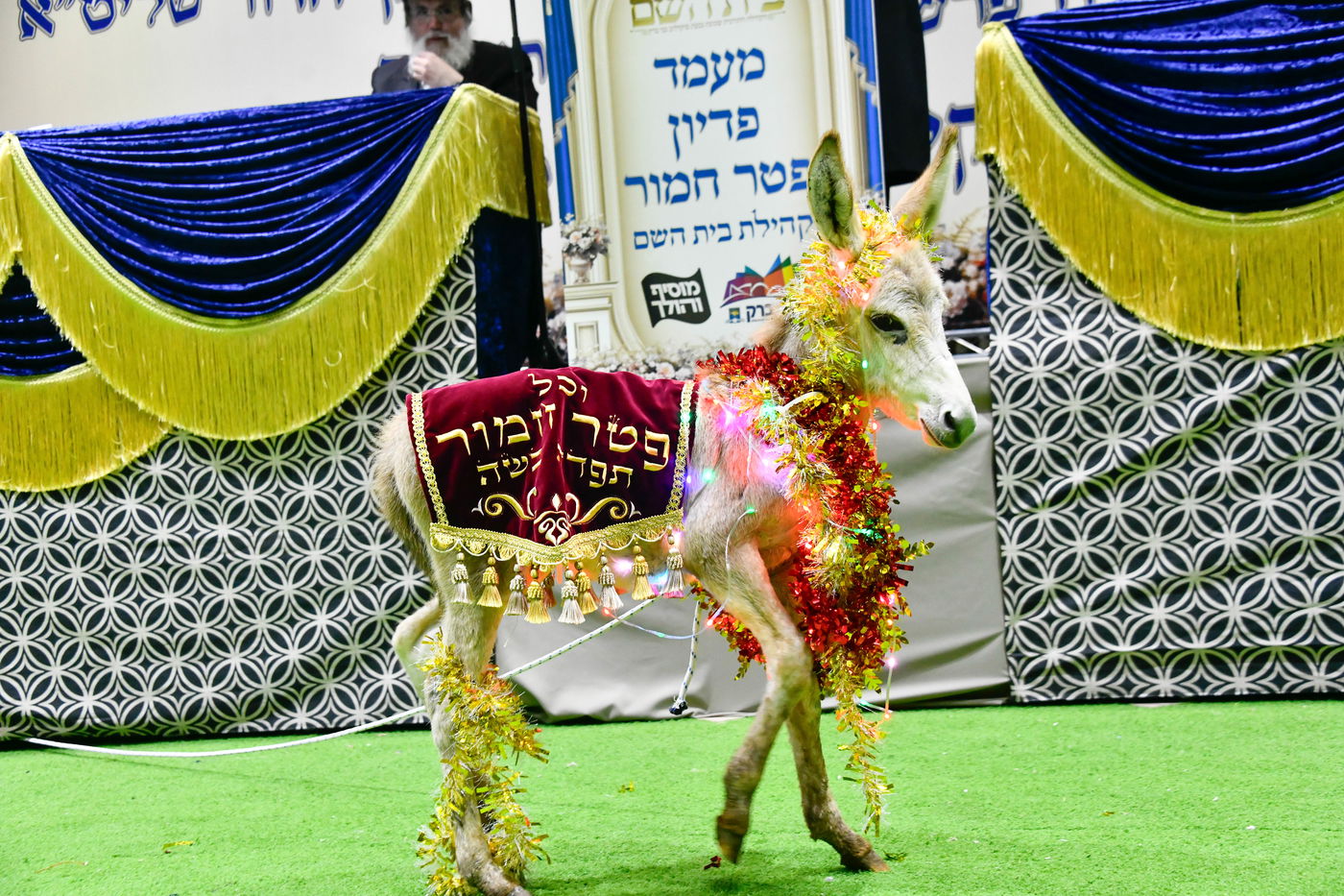 מעמד פדיון 'פטר חמור' בקהילת בית השם