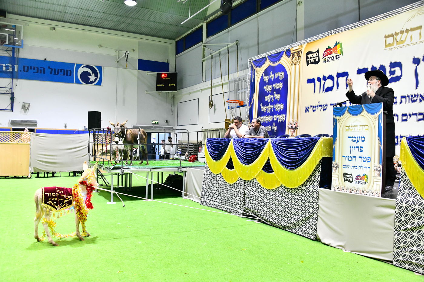 מעמד פדיון 'פטר חמור' בקהילת בית השם