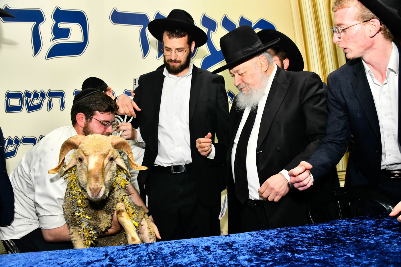 מעמד פדיון 'פטר חמור' בקהילת בית השם