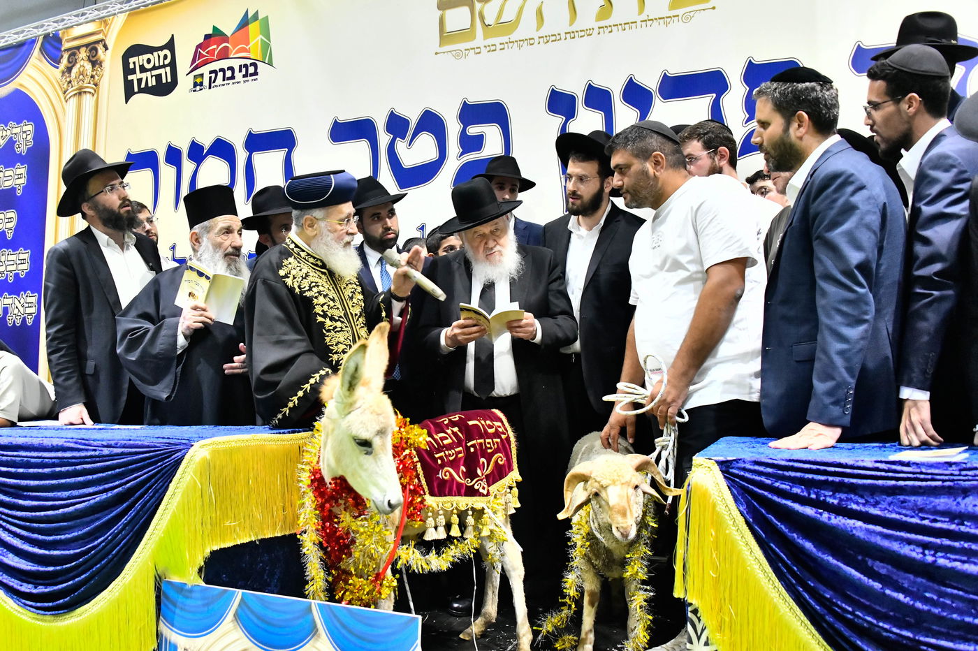 מעמד פדיון 'פטר חמור' בקהילת בית השם