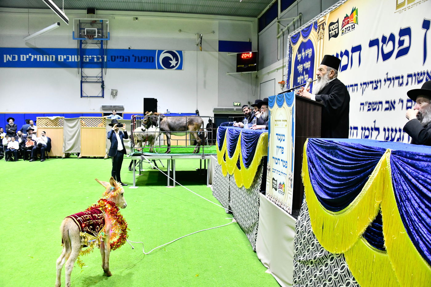 מעמד פדיון 'פטר חמור' בקהילת בית השם