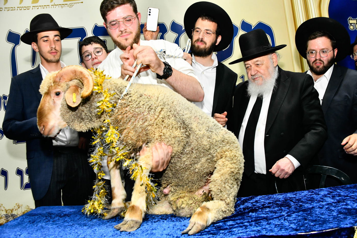 מעמד פדיון 'פטר חמור' בקהילת בית השם