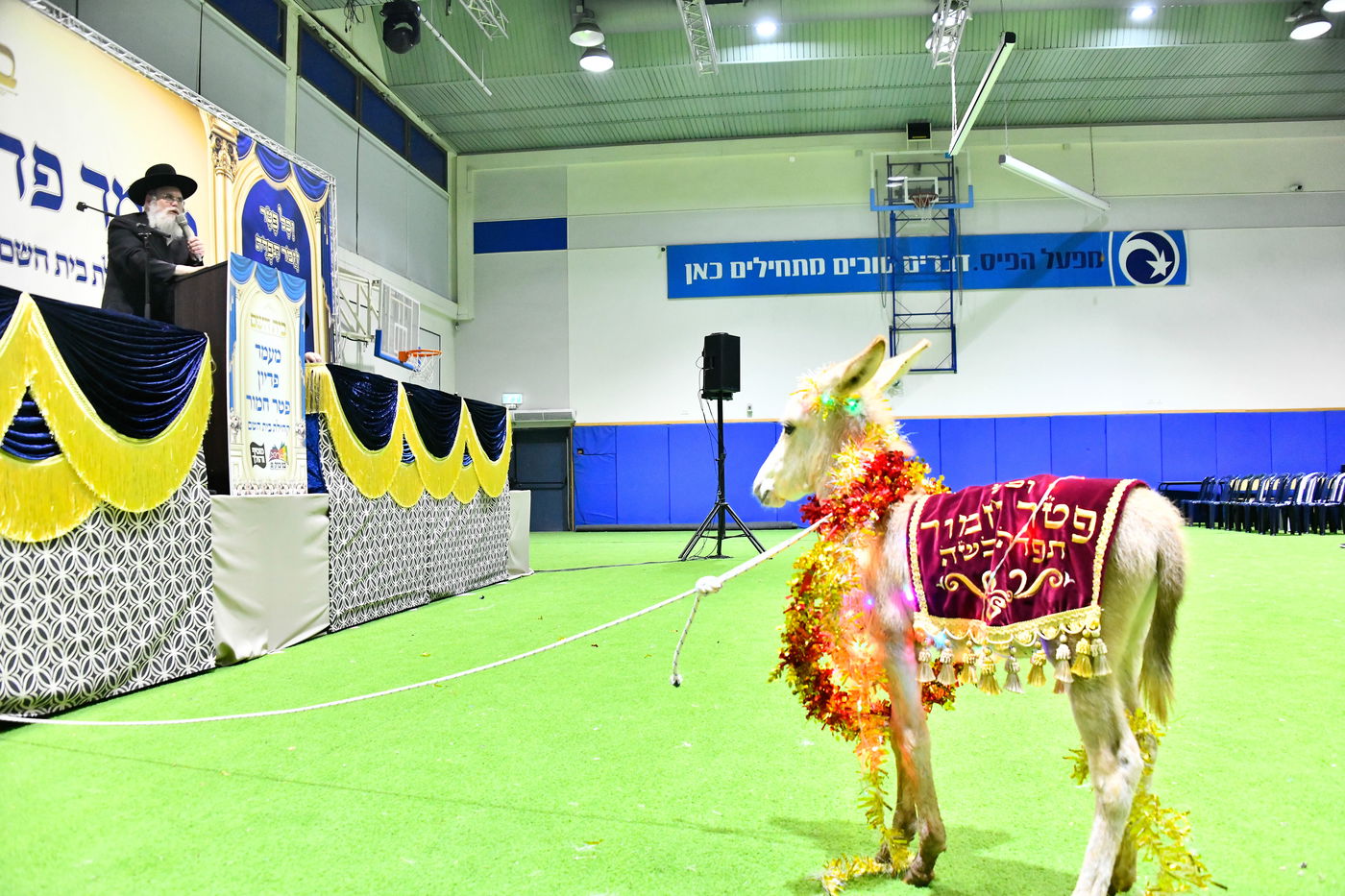 מעמד פדיון 'פטר חמור' בקהילת בית השם