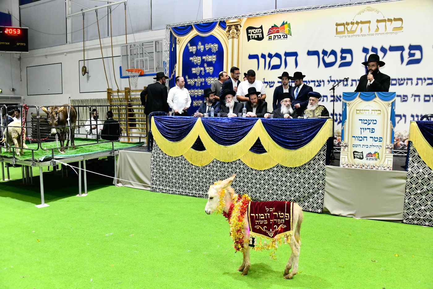 מעמד פדיון 'פטר חמור' בקהילת בית השם