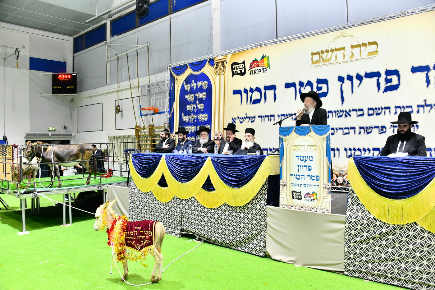 מעמד פדיון 'פטר חמור' בקהילת בית השם