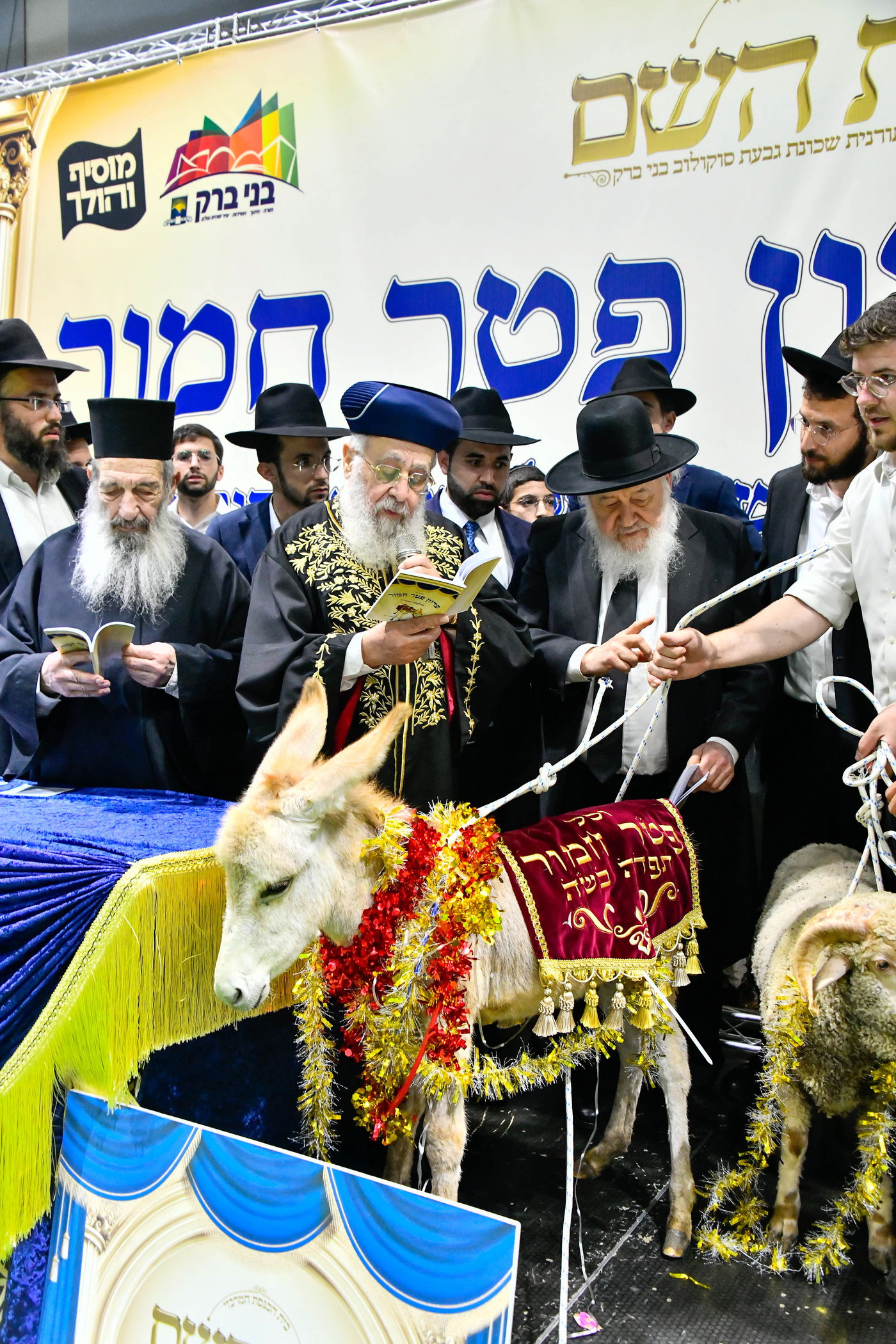 מעמד פדיון 'פטר חמור' בקהילת בית השם