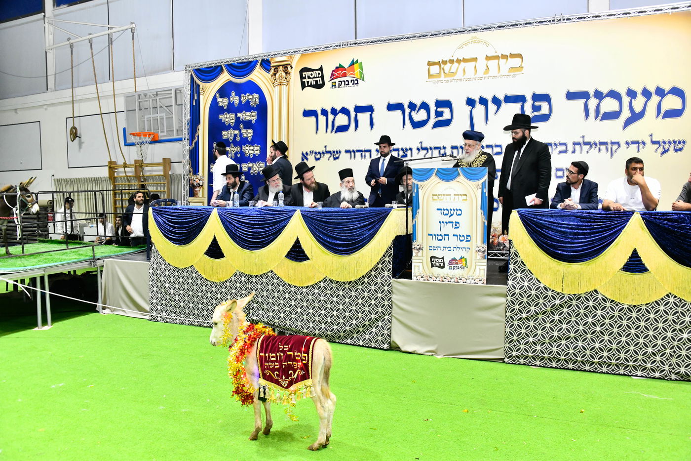 מעמד פדיון 'פטר חמור' בקהילת בית השם