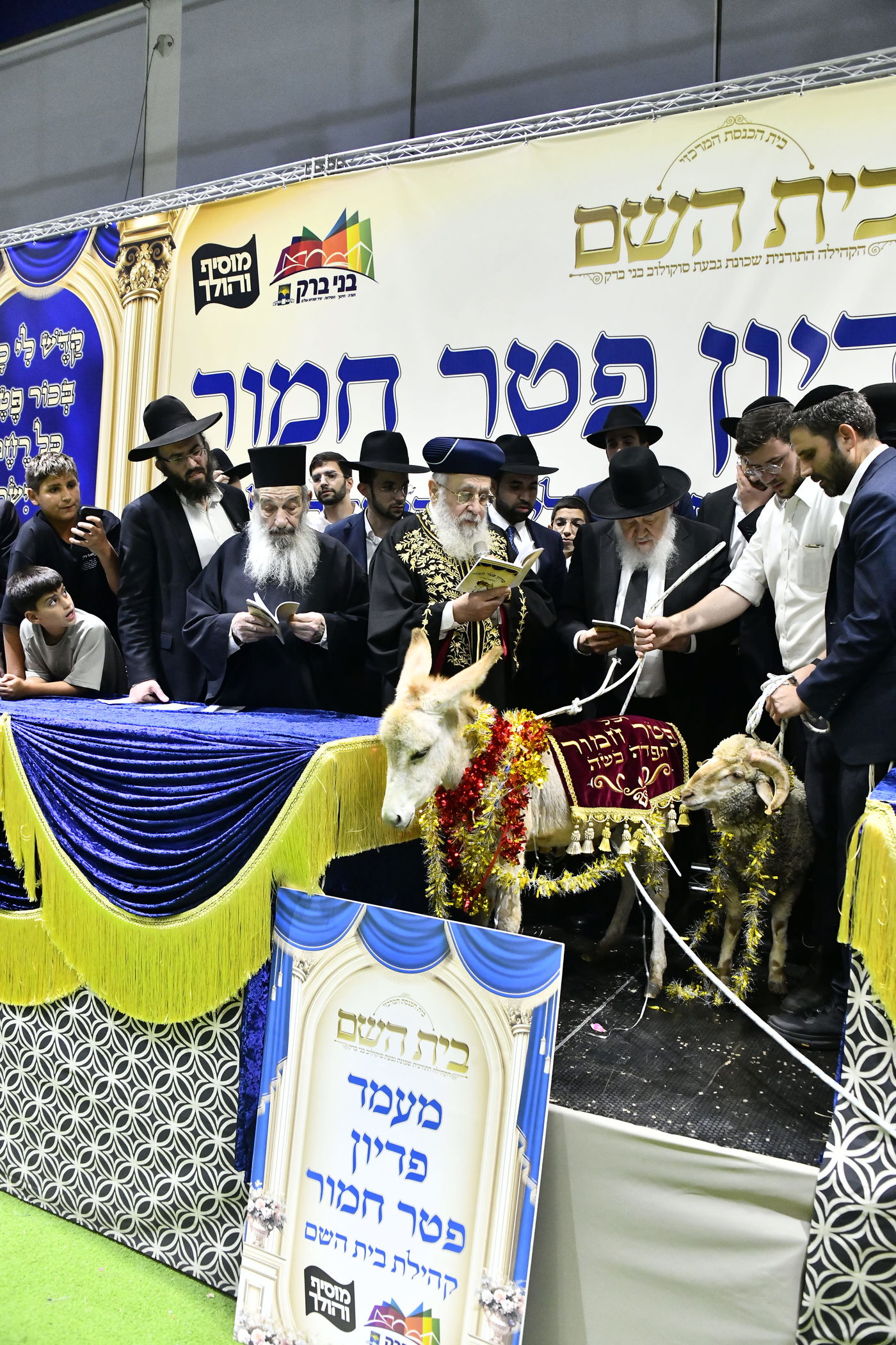 מעמד פדיון 'פטר חמור' בקהילת בית השם