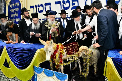 מעמד פדיון 'פטר חמור' בקהילת בית השם