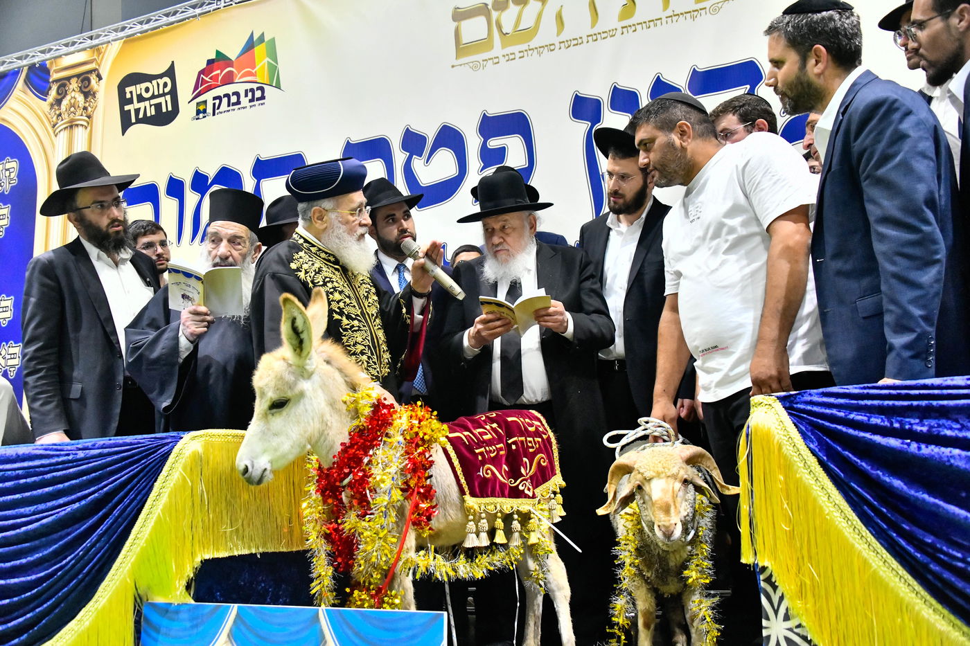 מעמד פדיון 'פטר חמור' בקהילת בית השם