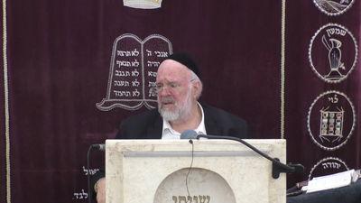 מה באמת איבדנו כשאין לנו בית מקדש? | המגיד הליטאי בקטע מטלטל