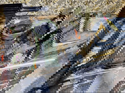 אמצעי הלחימה שאותרו