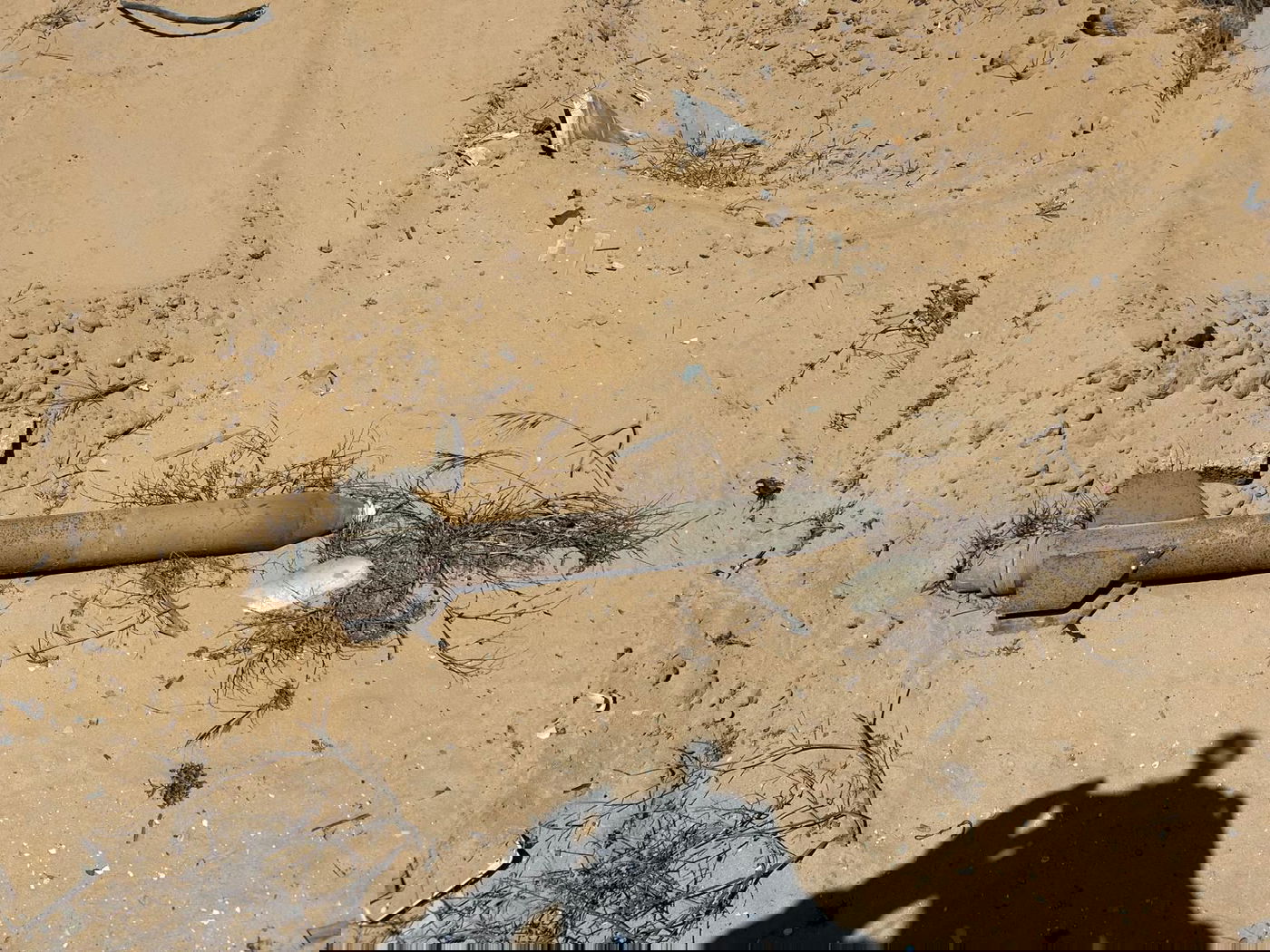 אמל"ח שנתפס