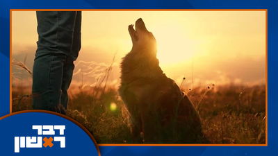 ה'צולניקים' מעשנים יותר? | המומחה לכתות והסיפור ההזוי של מי שתובע את החובשים שהצילו אותו