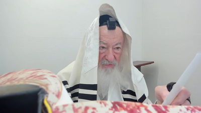 בואו לסיים ש"ס תוך שנה | השיעור היום: מסכת סנהדרין צ"ג-ק'