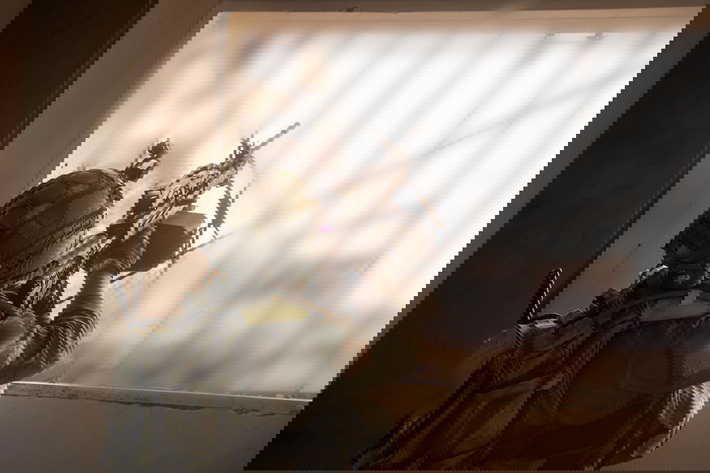 פעילות הכוחות ברצועה