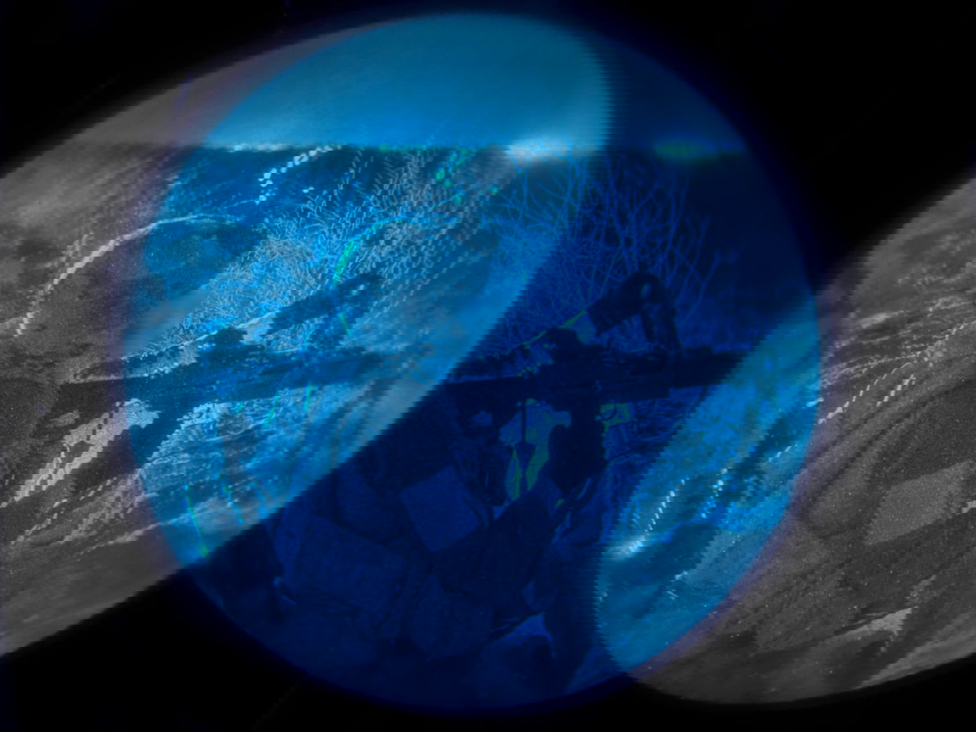 הלחימה בעזה, השבוע