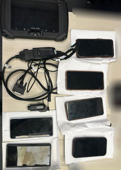 הממצאים שאותרו