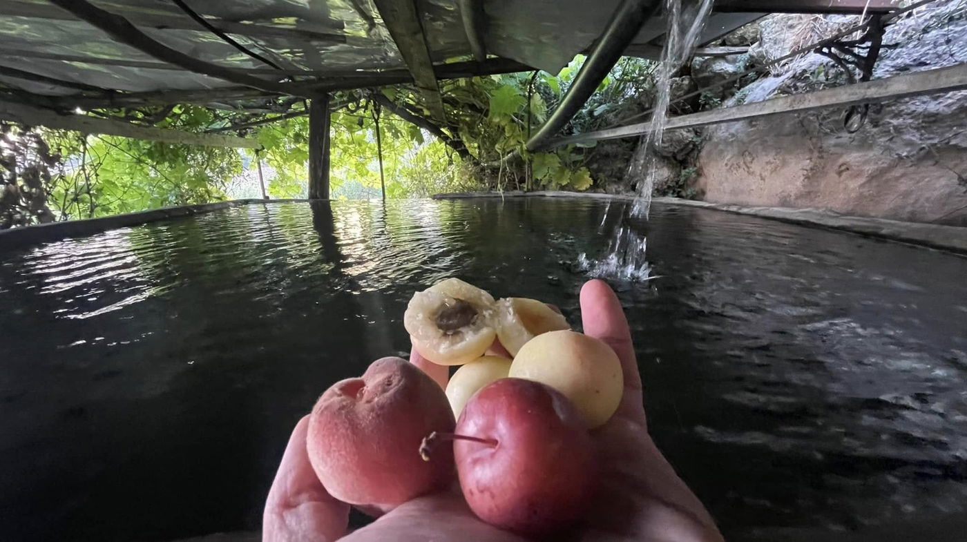 המעיינות בביתר עילית בין גבעה A ו-B בעונת האביב | מתוך ספר 'המקומות הנדירים הקדושים והרטובים בארץ ישראל'
