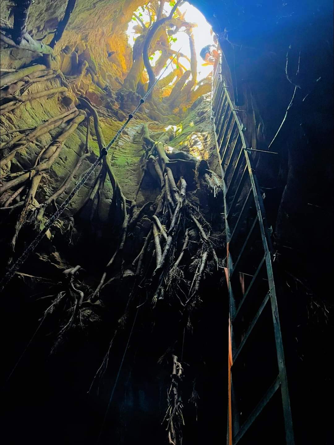 באר האלה בעונת האביב | מתוך ספר 'המקומות הנדירים הקדושים והרטובים בארץ ישראל'